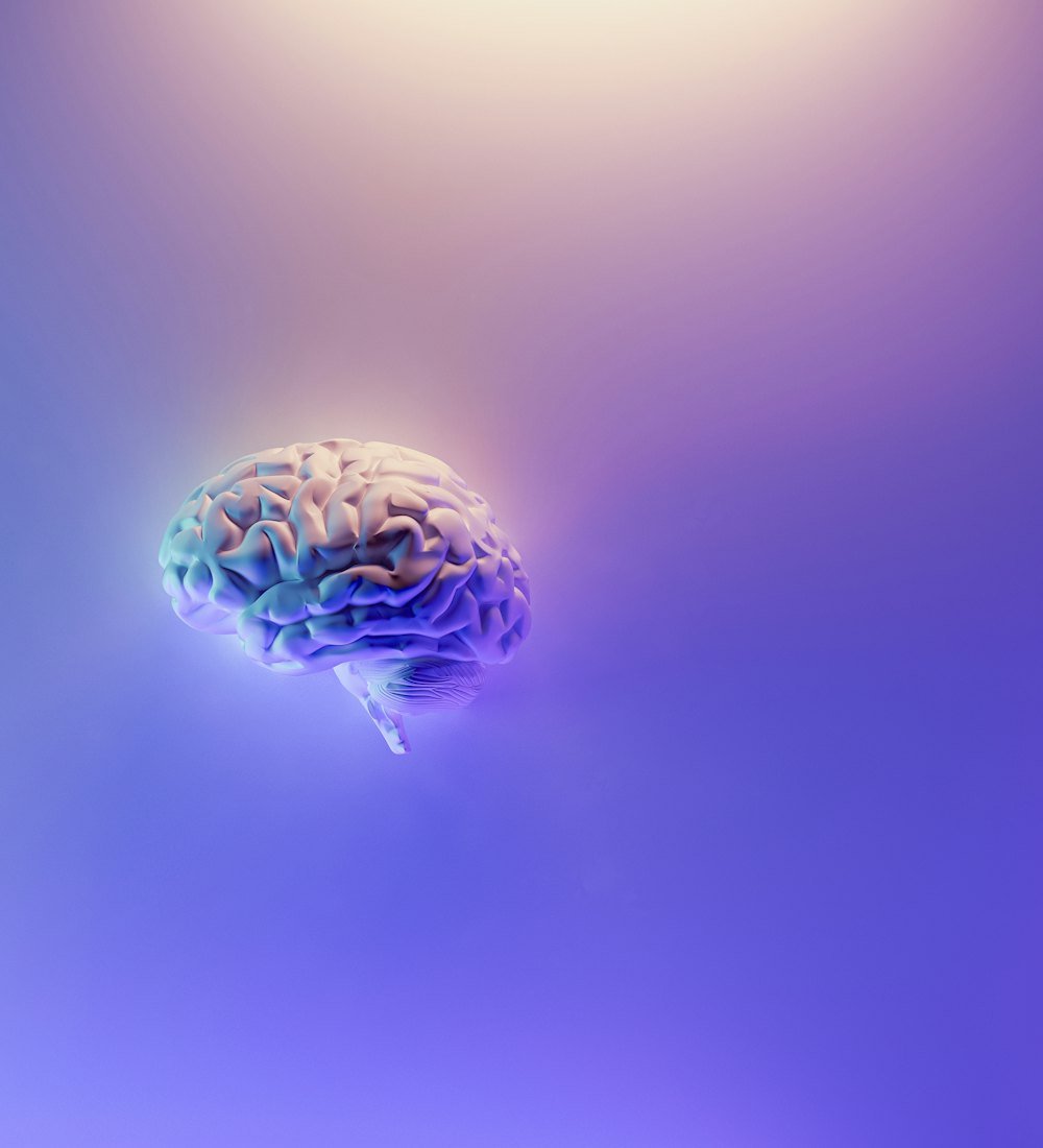 Illustration of a human brain, representing TMS therapy